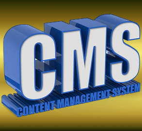  System CMS 